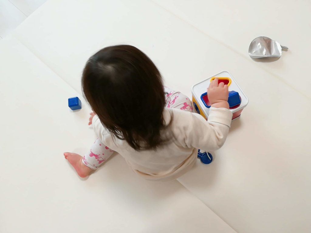 サブスクリプション型おもちゃレンタルサービス「TOYBOX(トイボックス)」でレンタルした知育玩具の口コミ