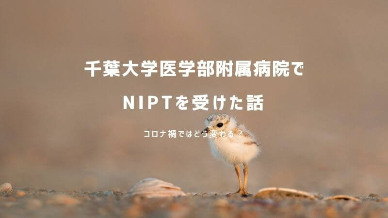 千葉大学医学部附属病院で新型出生前診断（NIPT）を受けた体験談ブログ