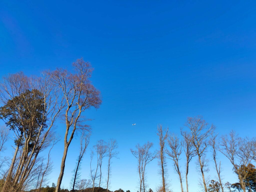 初心者キャンパーが初めての冬キャンプに挑戦