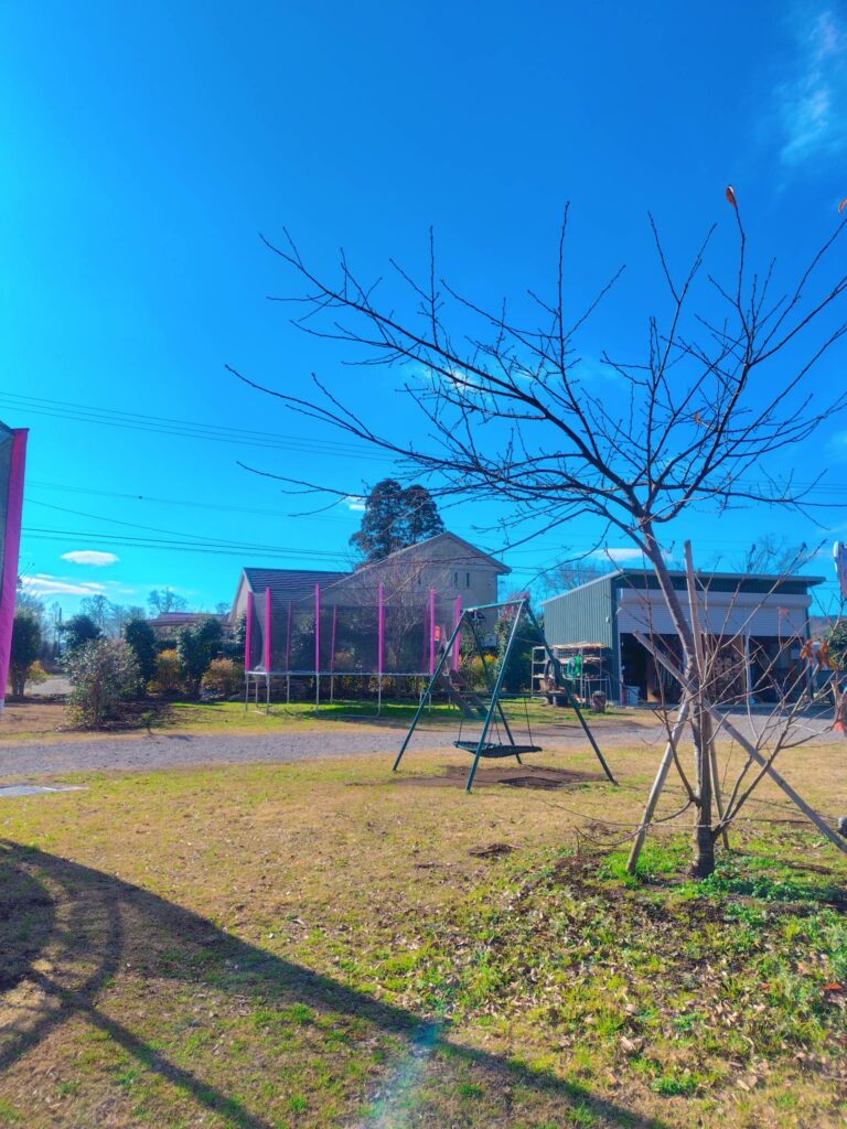 初心者キャンパーが初めての冬キャンプに挑戦:CAMPさくらの丘にある遊具