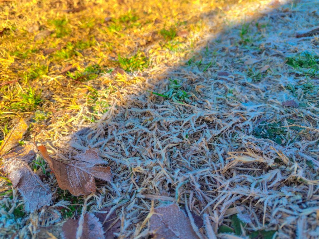 初心者キャンパーが初めての冬キャンプに挑戦