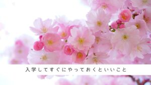 入学準備、入学してすぐにやっておくといいこと