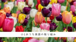 小学1年生女子のおうち英語の取り組み記録、DWEなど