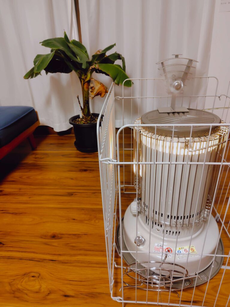 ドワーフモンキーバナナ冬越し中の様子