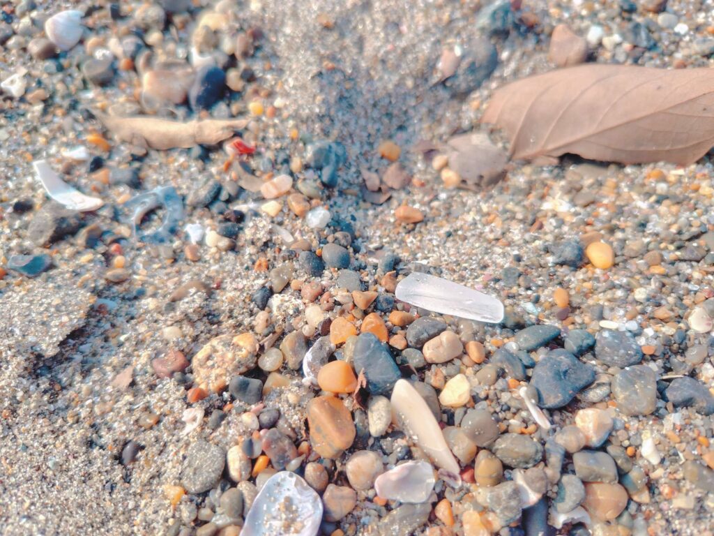 春の内浦海水浴場でシーグラス拾い