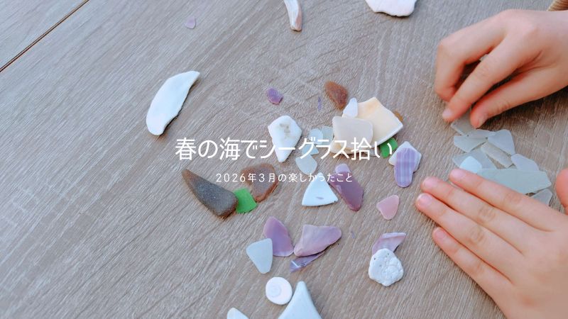 春の内浦海水浴場でシーグラス拾い