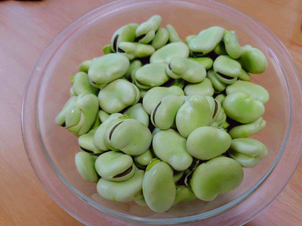 初夏の食育、そら豆のさやむき体験後に作ったそら豆の塩ゆで