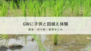 ゴールデンウィークに子供と田植え体験｜服装、持ち物のおすすめと感想まとめ