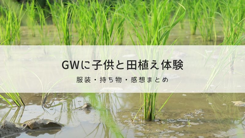 ゴールデンウィークに子供と田植え体験｜服装、持ち物のおすすめと感想まとめ